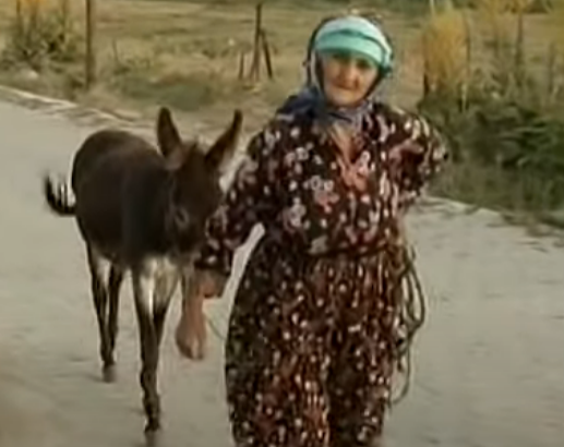 Alevi köylerimiz 1