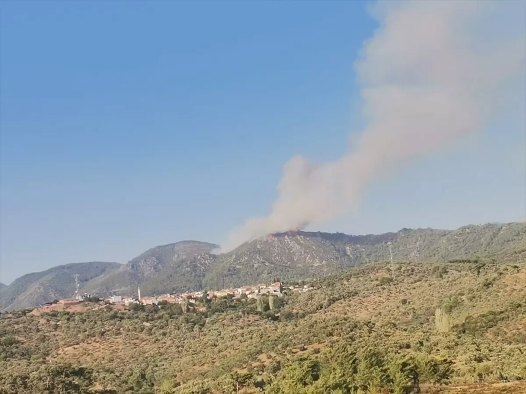 Muğla’nın Milas ilçesinde orman yangını çıktı