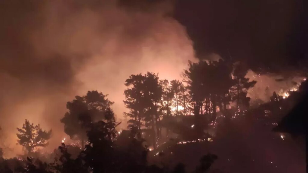 Muğla’nın Ortaca ve Dalaman İlçelerinde Orman Yangınları Çıktı