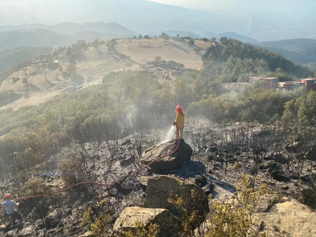 Nazilli’de Makilik Alanda Yangın Kontrol Altına Alındı