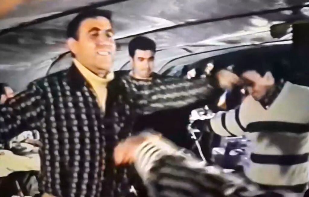 Köyden Kısa Videolar