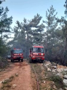Muğla’nın Milas ilçesinde Orman Yangını Kontrol Altına Alındı