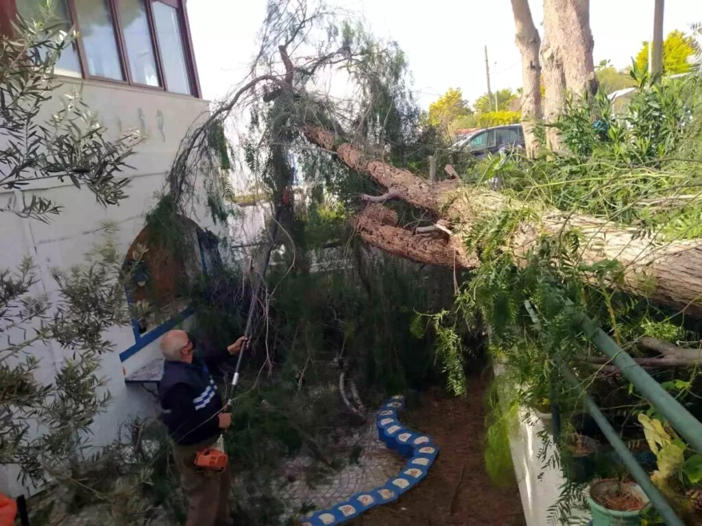 Bodrum’da Fırtına ve Çöl Tozları Hayatı Olumsuz Etkiledi