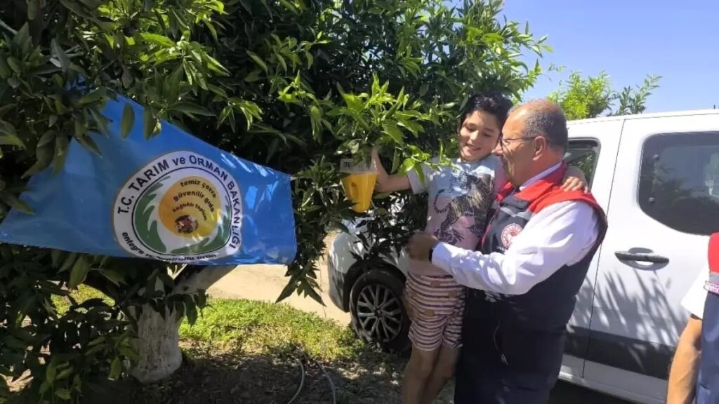 Aydın’da Narenciye Üreticilerine 12 Bin 500 Tuzak Teslim Edildi