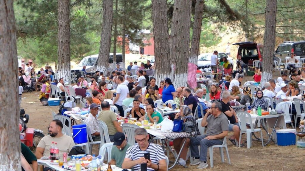 Kuyucak’ta Yayla Çileği Festivali